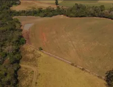 Fazenda / Sítio / Chácara com 4 Quartos à venda, 250m² no Zona Rural, Quadra - Foto 5