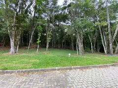 Terreno / Lote / Condomínio à venda, 420m² no , Canela - Foto 2