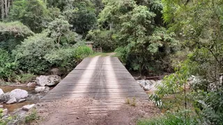 Terreno / Lote / Condomínio à venda no , Anitápolis - Foto 25