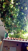 Casa de Condomínio com 5 Quartos à venda, 260m² no Vila Caputera, Mogi das Cruzes - Foto 18