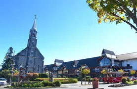 Fazenda / Sítio / Chácara com 1 Quarto à venda, 40000m² no Linha Avila, Gramado - Foto 13