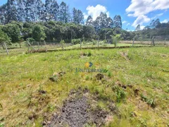 Fazenda / Sítio / Chácara à venda, 3108m² no Centro, Bocaiúva do Sul - Foto 16