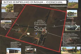 Fazenda / Sítio / Chácara com 6 Quartos à venda, 163680m² no Centro, Conchal - Foto 11
