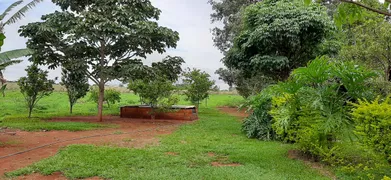 Fazenda / Sítio / Chácara com 4 Quartos à venda, 40000m² no Area Rural do Paranoa, Brasília - Foto 23