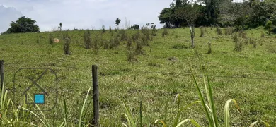 Fazenda / Sítio / Chácara à venda, 96000m² no Maracatú, Guararema - Foto 6