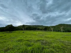 Fazenda / Sítio / Chácara com 3 Quartos à venda no Fronteira, Santo Antônio do Leverger - Foto 16