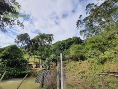 Fazenda / Sítio / Chácara com 5 Quartos à venda, 200m² no Zona Rural, Ilhota - Foto 25