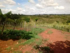 Fazenda / Sítio / Chácara com 3 Quartos à venda, 30000m² no Zona Rural, Glória do Goitá - Foto 7