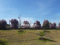 Fazenda / Sítio / Chácara com 3 Quartos à venda, 250m² no Cercado, Aracoiaba da Serra - Foto 8