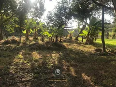 Fazenda / Sítio / Chácara com 2 Quartos à venda, 100m² no São Braz, Torres - Foto 10