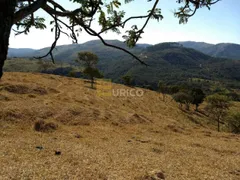 Fazenda / Sítio / Chácara com 3 Quartos à venda, 115000m² no , Ilicínea - Foto 9