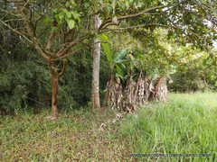 Fazenda / Sítio / Chácara com 1 Quarto à venda, 12000m² no Jardim dos Eucaliptos, Biritiba Mirim - Foto 6