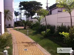 Apartamento com 3 Quartos para alugar, 69m² no Terra Bonita, Londrina - Foto 9