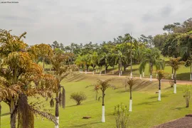 Fazenda / Sítio / Chácara com 8 Quartos à venda, 1000m² no Reforma Agraria, Valinhos - Foto 52