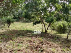 Fazenda / Sítio / Chácara com 4 Quartos à venda, 13440m² no Zona Rural, Santo Antônio do Leverger - Foto 31