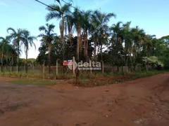 Fazenda / Sítio / Chácara com 1 Quarto à venda, 5000m² no Panorama, Uberlândia - Foto 7