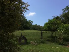 Fazenda / Sítio / Chácara com 2 Quartos à venda, 169400m² no Centro, Piracaia - Foto 6