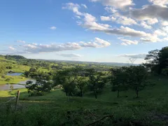 Fazenda / Sítio / Chácara com 4 Quartos à venda, 93000m² no Zona Rural, Porangaba - Foto 8