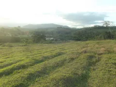 Fazenda / Sítio / Chácara com 6 Quartos à venda, 145000m² no Horto, Macaé - Foto 7