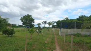 Fazenda / Sítio / Chácara com 3 Quartos à venda, 65000m² no Zona Rural, Acorizal - Foto 20