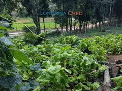 Fazenda / Sítio / Chácara com 4 Quartos à venda, 300m² no Zona Rural, Mandirituba - Foto 17