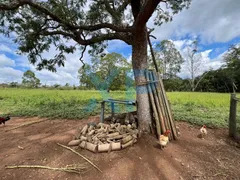 Fazenda / Sítio / Chácara com 3 Quartos à venda, 290m² no Zona Rural, São Sebastião do Oeste - Foto 64