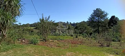 Fazenda / Sítio / Chácara com 3 Quartos à venda, 24200m² no Rio do Salto, Cascavel - Foto 5