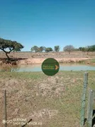 Fazenda / Sítio / Chácara com 2 Quartos à venda, 1887600m² no Zona Rural, Luziânia - Foto 3