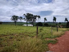 Fazenda / Sítio / Chácara com 7 Quartos à venda no Area Rural de Caldas Novas, Caldas Novas - Foto 5