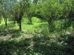 Terreno / Lote / Condomínio à venda, 2250m² no Chácara Belvedere, Campinas - Foto 1