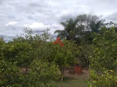 Fazenda / Sítio / Chácara com 2 Quartos à venda, 100m² no , Santa Branca - Foto 13