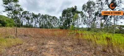 Fazenda / Sítio / Chácara com 2 Quartos à venda, 100m² no Pitanguinha, Simões Filho - Foto 9