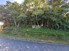 Terreno / Lote / Condomínio à venda, 1230m² no Varginha, Nova Friburgo - Foto 3