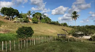 Fazenda / Sítio / Chácara com 4 Quartos à venda, 900000m² no Zona Rural, Itanagra - Foto 2