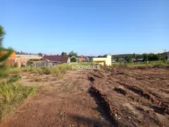 Terreno / Lote / Condomínio para alugar, 300m² no Boa Vista, São Leopoldo - Foto 2