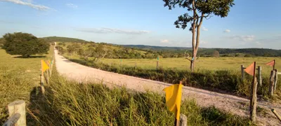 Fazenda / Sítio / Chácara à venda, 20000m² no Centro, São Gonçalo do Pará - Foto 3