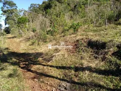 Fazenda / Sítio / Chácara à venda, 30000m² no Vila Jardim, Gramado - Foto 5