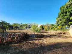 Fazenda / Sítio / Chácara com 4 Quartos à venda, 7250m² no Chacaras Beira Rio, Divinópolis - Foto 14