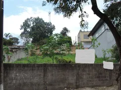 Terreno / Lote / Condomínio à venda, 556m² no Vila Santo Antônio, Cotia - Foto 3