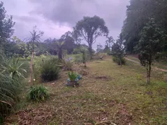 Fazenda / Sítio / Chácara com 4 Quartos à venda, 250m² no Lagoinha, Tijucas do Sul - Foto 23