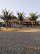 Fazenda / Sítio / Chácara com 1 Quarto à venda, 5000m² no Centro, Potirendaba - Foto 10