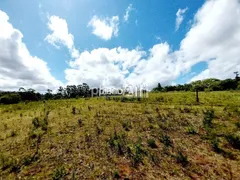 Terreno / Lote / Condomínio à venda no Estancia Grande, Viamão - Foto 12