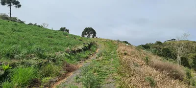 Fazenda / Sítio / Chácara com 4 Quartos à venda, 20000m² no Demoras, Alfredo Wagner - Foto 17