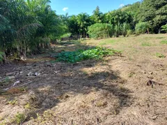 Fazenda / Sítio / Chácara com 3 Quartos à venda, 5000m² no Comunidade Urbana de Rio Grande, Guarapari - Foto 22
