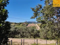 Fazenda / Sítio / Chácara com 2 Quartos à venda, 120000m² no , Pedreira - Foto 21