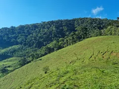 Fazenda / Sítio / Chácara com 3 Quartos à venda, 484000m² no São Francisco Xavier, São José dos Campos - Foto 26