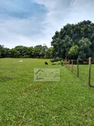 Fazenda / Sítio / Chácara com 4 Quartos à venda, 75000m² no Zona Rural, Bonfinópolis - Foto 12