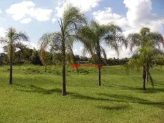 Fazenda / Sítio / Chácara com 9 Quartos à venda, 1000m² no COLMEIA, Jaguariúna - Foto 19