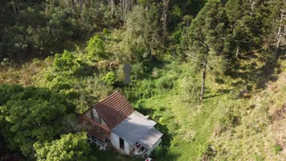 Fazenda / Sítio / Chácara com 2 Quartos à venda, 80m² no Centro, Bocaiúva do Sul - Foto 2
