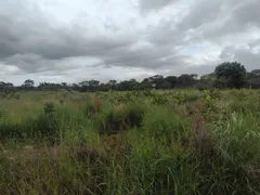 Fazenda / Sítio / Chácara com 3 Quartos à venda, 20000m² no Area Rural do Paranoa, Brasília - Foto 21